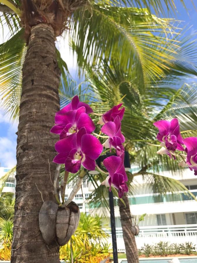 In Mare Bali Residencial Resort Pium de Cima المظهر الخارجي الصورة